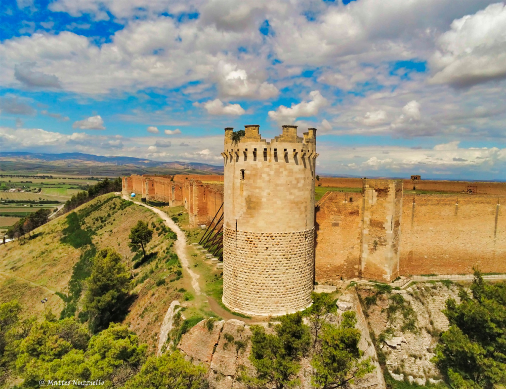 Attrezzatura Per Il Birdwatching A Lunga Distanza Strumento